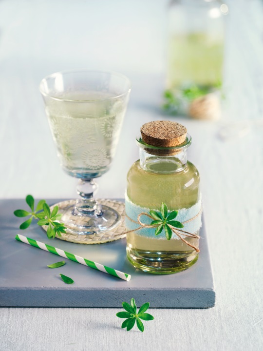 Waldmeister-Sirup Waldmeister-Sirup