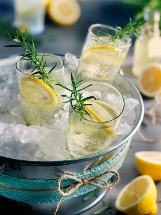 Gin Fizz mit Rosmarin